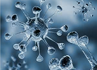 EBET易博体内体外药效试验顺遂通过药监局审查