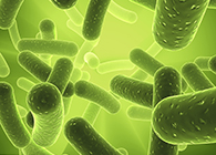 EBET易博将加入2013年欧洲生物春季展会