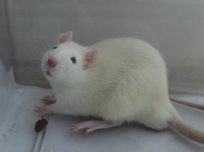 EBET易博·(中国集团)首页官网