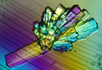 EBET易博副总裁金晓玮博士等一行出席了在上海举行的中国科学手艺大学校友会沙龙