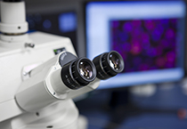 2009年8月16日至20日副总裁林南宏博士第238届美国化学会（ACS）天下聚会及展览