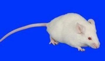 EBET易博·(中国集团)首页官网