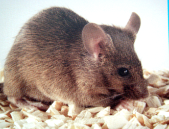 EBET易博·(中国集团)首页官网