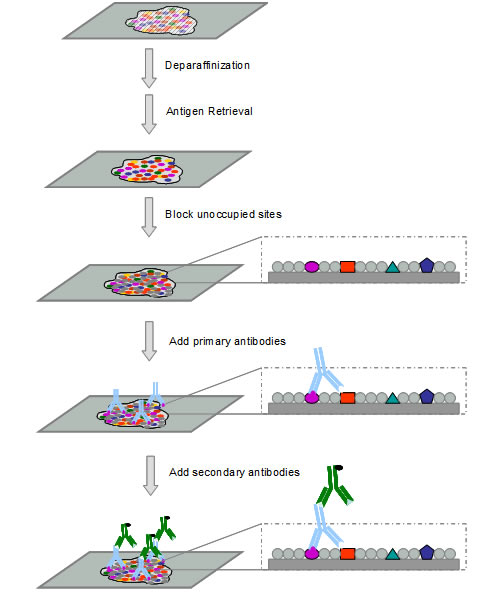 EBET易博·(中国集团)首页官网