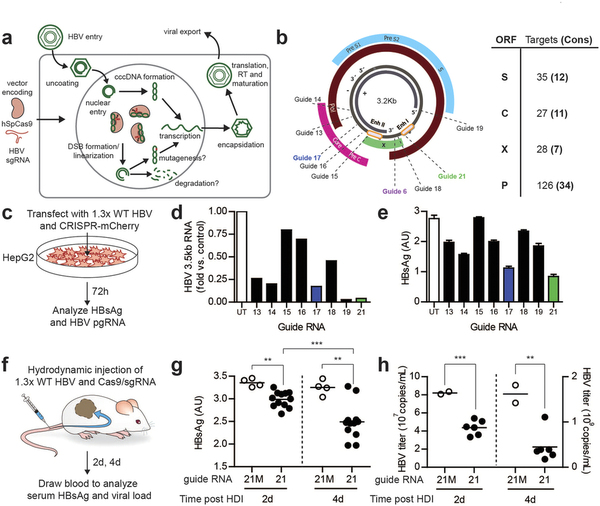 EBET易博·(中国集团)首页官网
