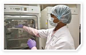 EBET易博·(中国集团)首页官网