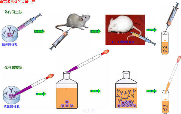 EBET易博·(中国集团)首页官网