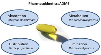 毒代动力学的吸收、、漫衍、、代谢、、渗透