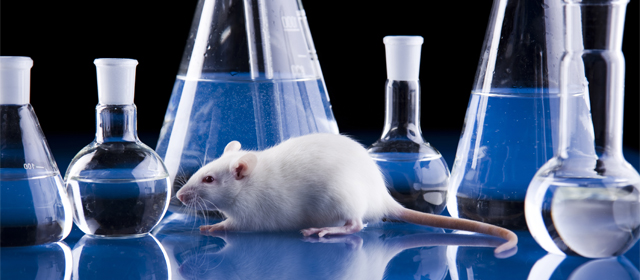 EBET易博·(中国集团)首页官网