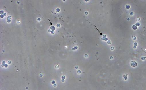 EBET易博·(中国集团)首页官网
