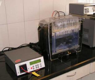 EBET易博·(中国集团)首页官网