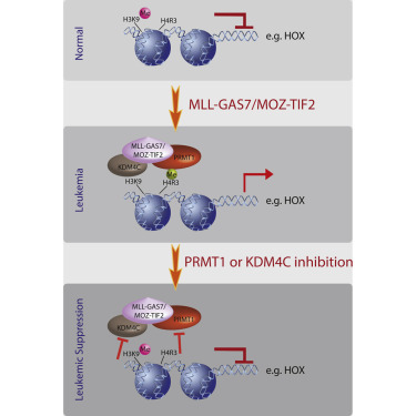 EBET易博·(中国集团)首页官网