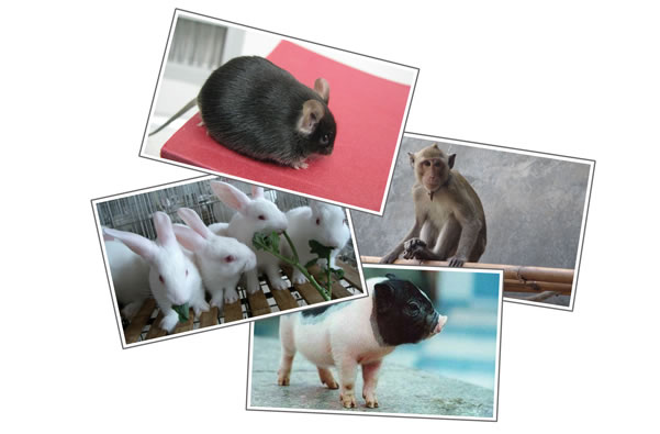 EBET易博·(中国集团)首页官网