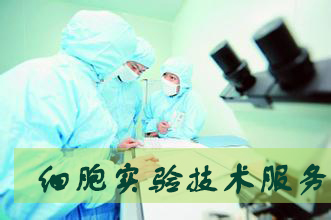 EBET易博·(中国集团)首页官网