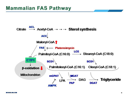 EBET易博·(中国集团)首页官网