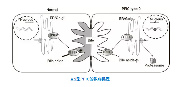 EBET易博·(中国集团)首页官网