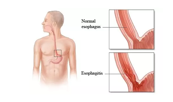 EBET易博·(中国集团)首页官网