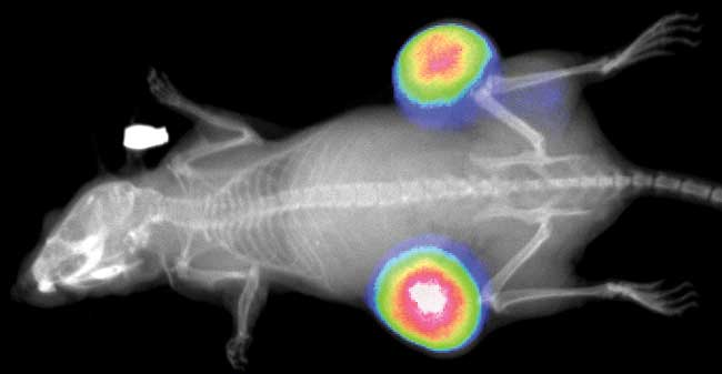 EBET易博·(中国集团)首页官网