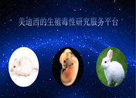 EBET易博的生殖毒性研究服务平台