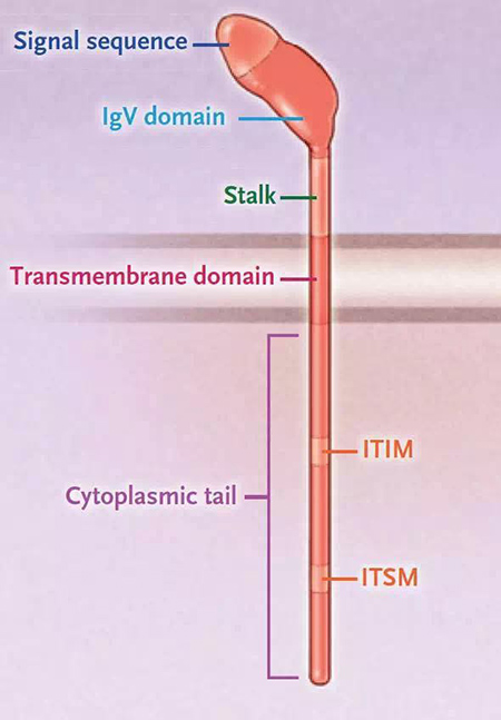 EBET易博·(中国集团)首页官网