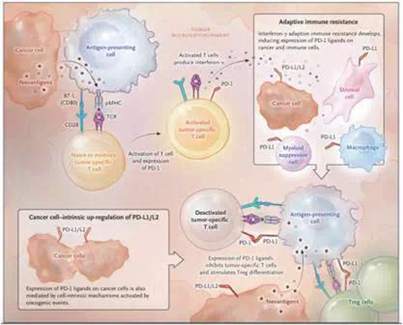 EBET易博·(中国集团)首页官网