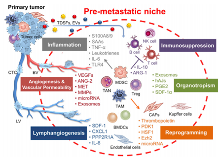 EBET易博·(中国集团)首页官网