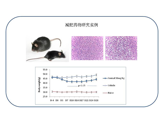 EBET易博·(中国集团)首页官网
