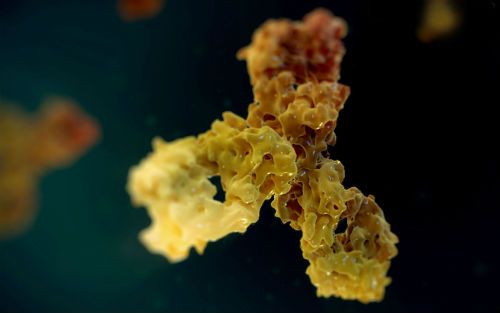 EBET易博·(中国集团)首页官网