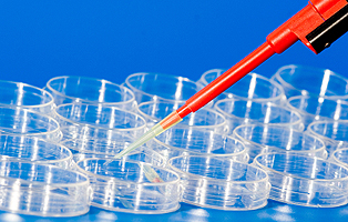 EBET易博·(中国集团)首页官网