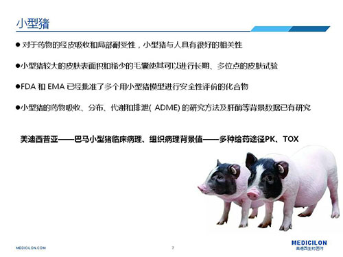 皮肤涂抹试验中，受试动物选择小型猪更好