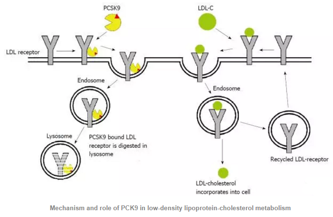 EBET易博·(中国集团)首页官网