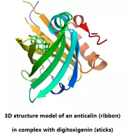EBET易博·(中国集团)首页官网