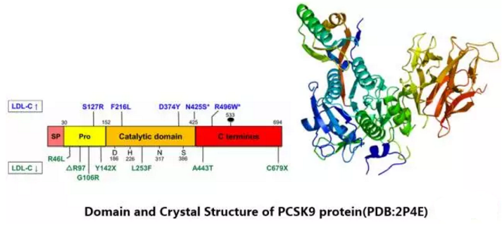 EBET易博·(中国集团)首页官网