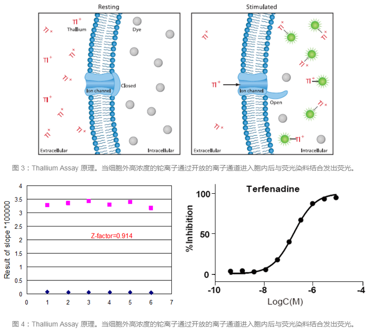 EBET易博·(中国集团)首页官网