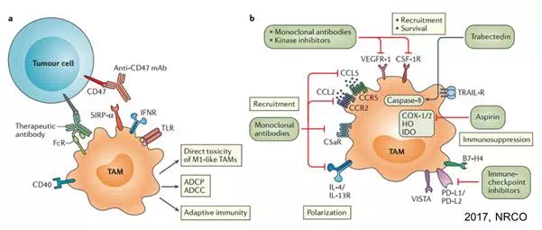 EBET易博·(中国集团)首页官网