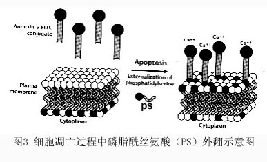 EBET易博·(中国集团)首页官网
