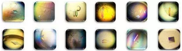 EBET易博·(中国集团)首页官网