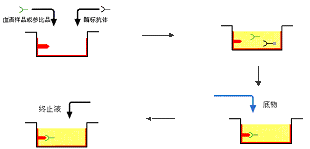 EBET易博·(中国集团)首页官网