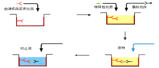EBET易博·(中国集团)首页官网