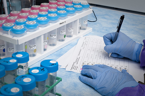 大浪淘沙快者胜！！！已完成BE大品种谁主战场