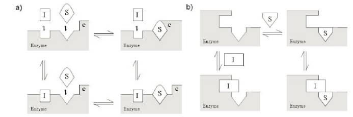 EBET易博·(中国集团)首页官网