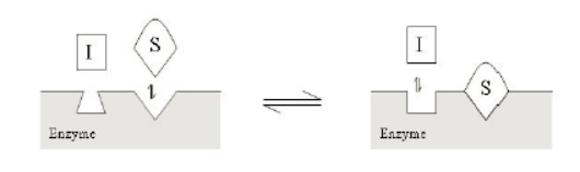 EBET易博·(中国集团)首页官网