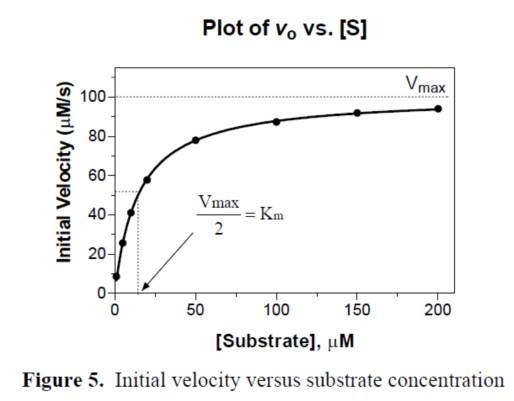 EBET易博·(中国集团)首页官网