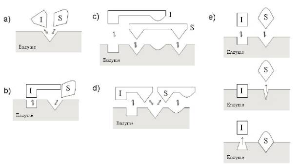 EBET易博·(中国集团)首页官网