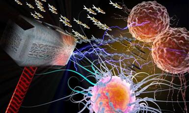 EBET易博·(中国集团)首页官网