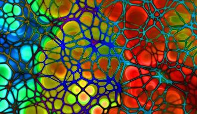 EBET易博·(中国集团)首页官网