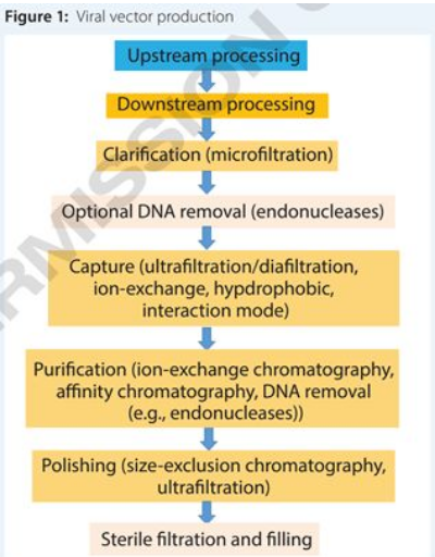 EBET易博·(中国集团)首页官网