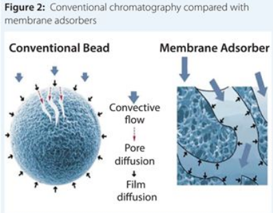 EBET易博·(中国集团)首页官网