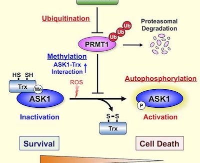 EBET易博·(中国集团)首页官网