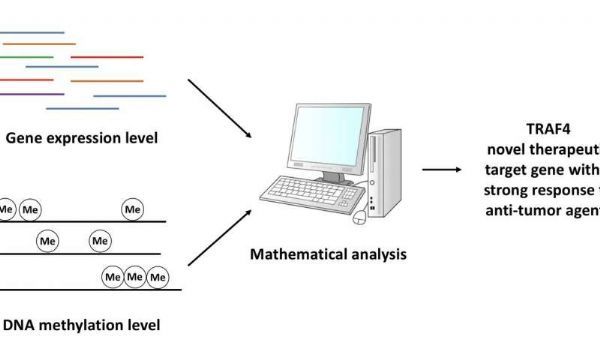 EBET易博·(中国集团)首页官网